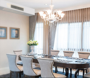 �����{����